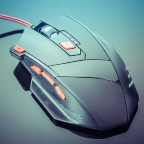 Mouse