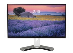 Dell P2422H - 24 inch LED