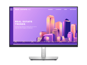 Dell P2422H
