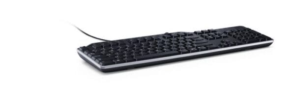 DELL KB-522 BUSINESS MULTIMEDIA USB KB BLACK SWEDISH/FINNISH SS PERP